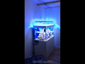 lampenhalterung-meerwasseraquarium